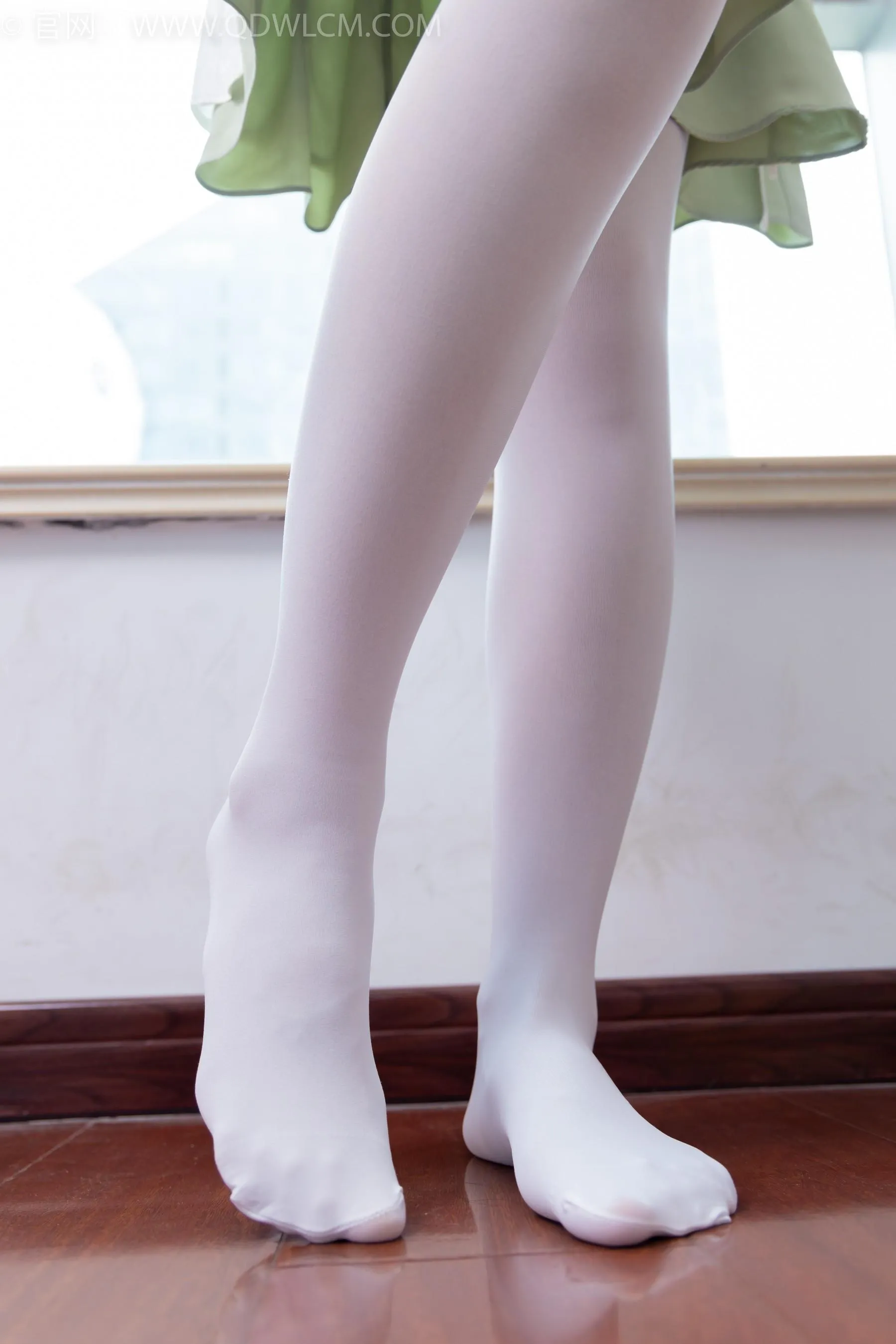 物恋传媒 NO.1547 菜菜-绿野仙踪 [153P]插图